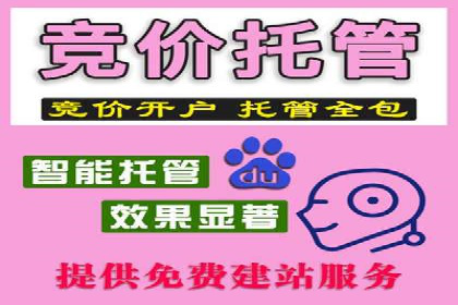 SEM托管公司成功案例：助力企业快速成长